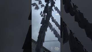 Italian Installation Highlights The Scale Of Child Deaths In Gaza