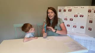 Sound Wall Introduction: Consonant Sounds