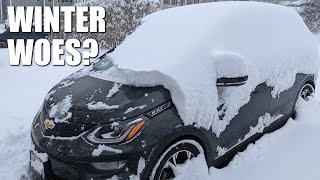 EV Myths  Electric Car Heaters in Winter: Dead in an Hour?!