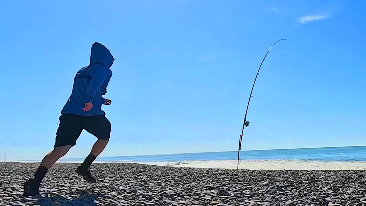 Surfcasting For Sharks and Kahawai | Catch n Cook | New Zealand Fishing
