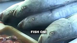 Primus - Fish On (Fisherman Chronicles, Chapter II) (Subtitulos en Español)
