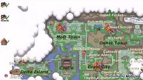 GraalOnline Classic-Bug net,Shovel