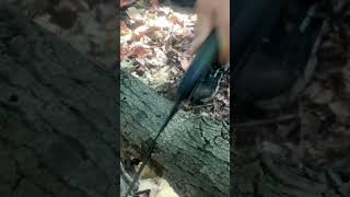 Bahco Laplander Folding Saw