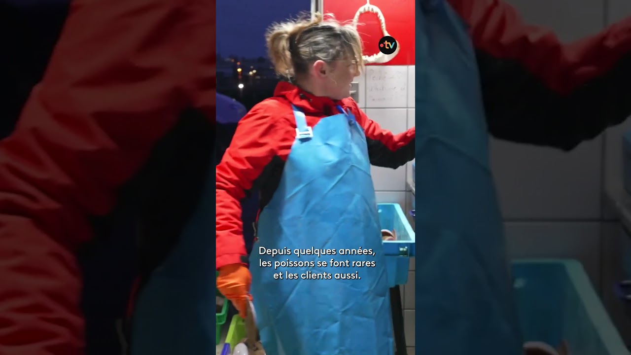 Les aubettes boulonnaises : concurrencées, mais combatives