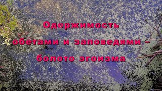 видео: Одержимость обетами и заповедями – болото эгоизма картинка: Одержимость обетами и заповедями – болото эгоизма