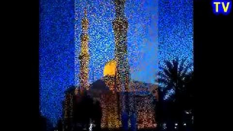 القارئ تميم الريمي