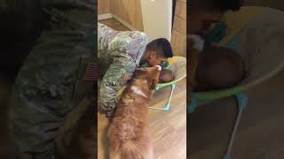 Corgi Gets Jealous When Dad Kisses Baby