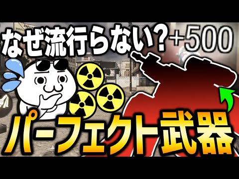 全ての性能が平均以上の『弱点が一切ないパーフェクト武器』なのになんで流行らないのか...？俺はコイツを救いたいんだ。【CODモバイル】〈KAME〉