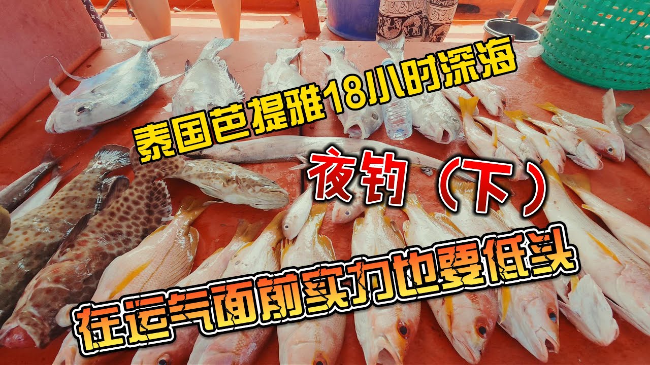 【8K拍摄】泰国芭提雅18小时深海夜钓（下），在运气面前实力都要低头