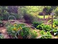 .1 acre garden - huge production!