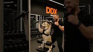 'Furry Tales in Pixels''Coach says I’m the goodest gym boy! 🐶❤️'
