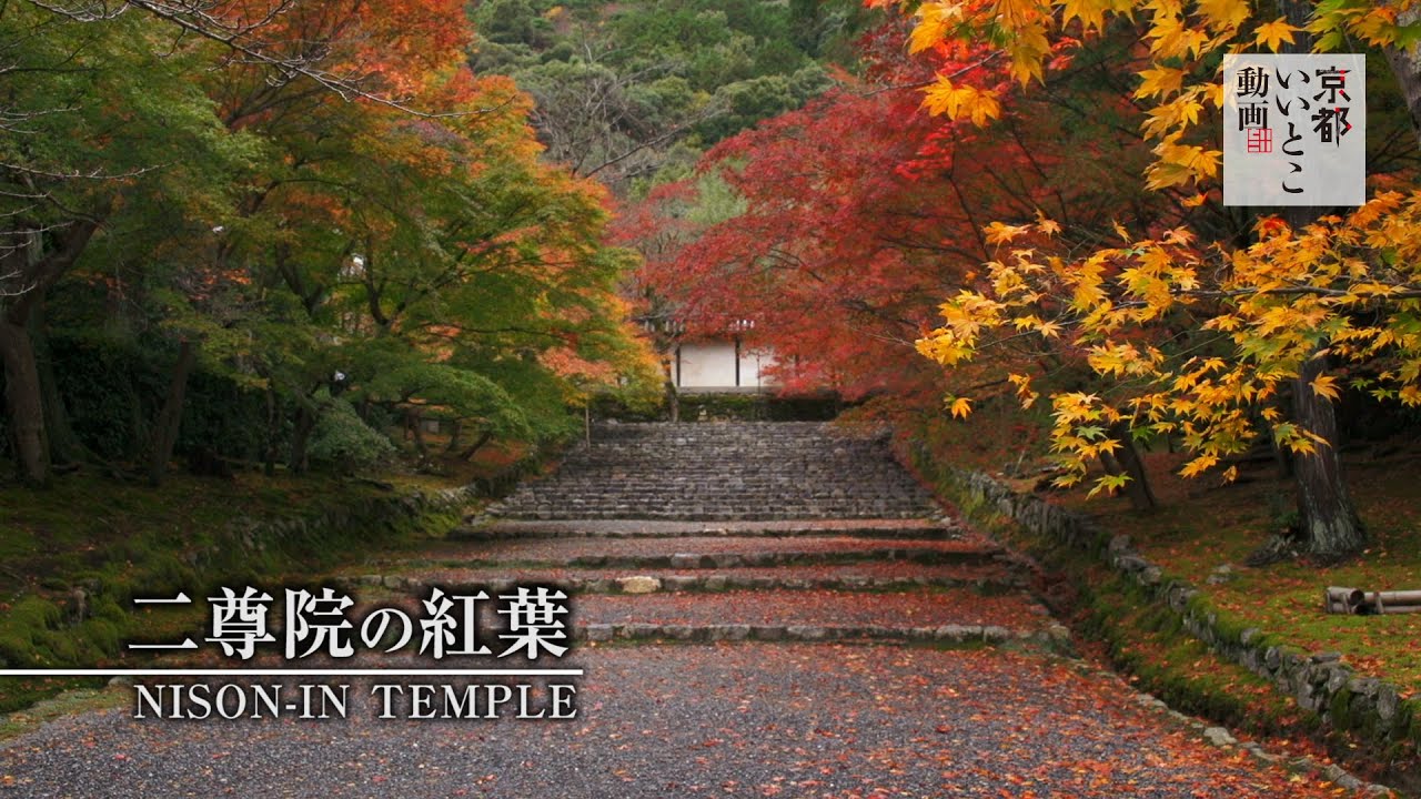京都紅葉 7大嵐山紅葉景點推介 夜楓 紅葉隧道 嵐山紅葉祭都有齊 19年更新版