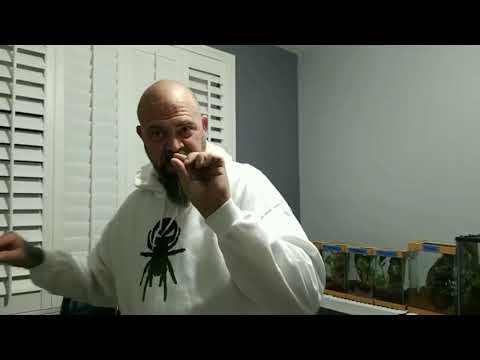 H.Mac DKS Journey