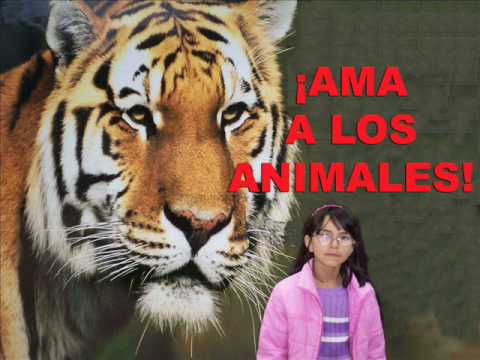 AMA A LOS ANIMALES! - MNICA IRIARTE MANRIQUE