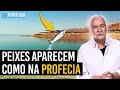 A profecia do Mar Morto está se cumprindo