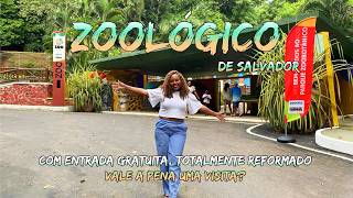Salvador Zoo Has Reopened After Renovation And Has Free Entry