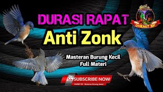 MASTERAN Burung Kecil Full Materi, Durasi Rapat ❗️Anti Zonk