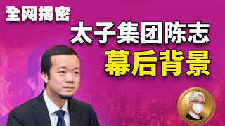 全网揭密：太子集团陈志的幕后背景｜太子集团陈志的靠山到底是谁？中共控制东南亚的手段｜陈志和孙力军的渊源｜赵薇老公和孙力军的合作｜王小洪如何清理孙力军势力｜孙力军如何搞掉林锐｜陈志和王小洪的关系｜