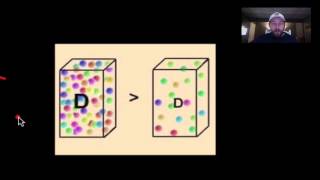 Prologue Density Part 1