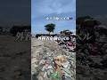 【超貴重映像】世界一治安が悪化してると言われてるハイチの街🇭🇹#shorts #ハイチ