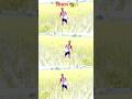 गांव का किसान 🧑‍🌾 है ।।।।. #shorts #trendingshorts #viral #ytshorts #explore #explorepage #kisan