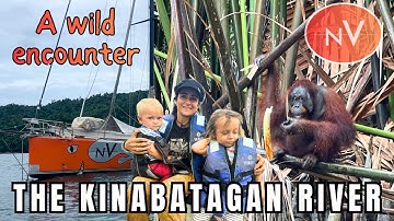 We Left Our Boat for This | Wild Borneo & The Kinabatagan River