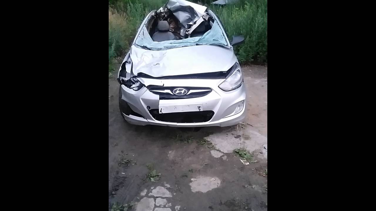 Лось влетел в машину