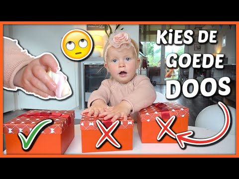 WILL LUXY CHOOSE THE RIGHT BOX? THEN SHE GETS TO KEEP THE MARSHMALLOW ... 🎁 | Luxy Bellinga #17