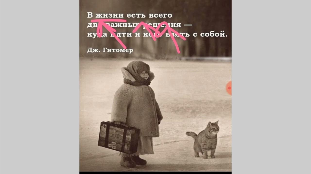 Настроение уехать с котом в Простоквашино