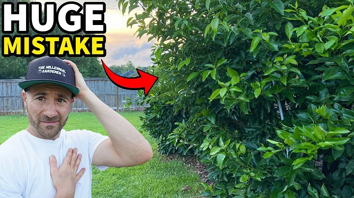 Big Mistake! 3 Fruit Trees I Wish I NEVER Planted In My Backyard