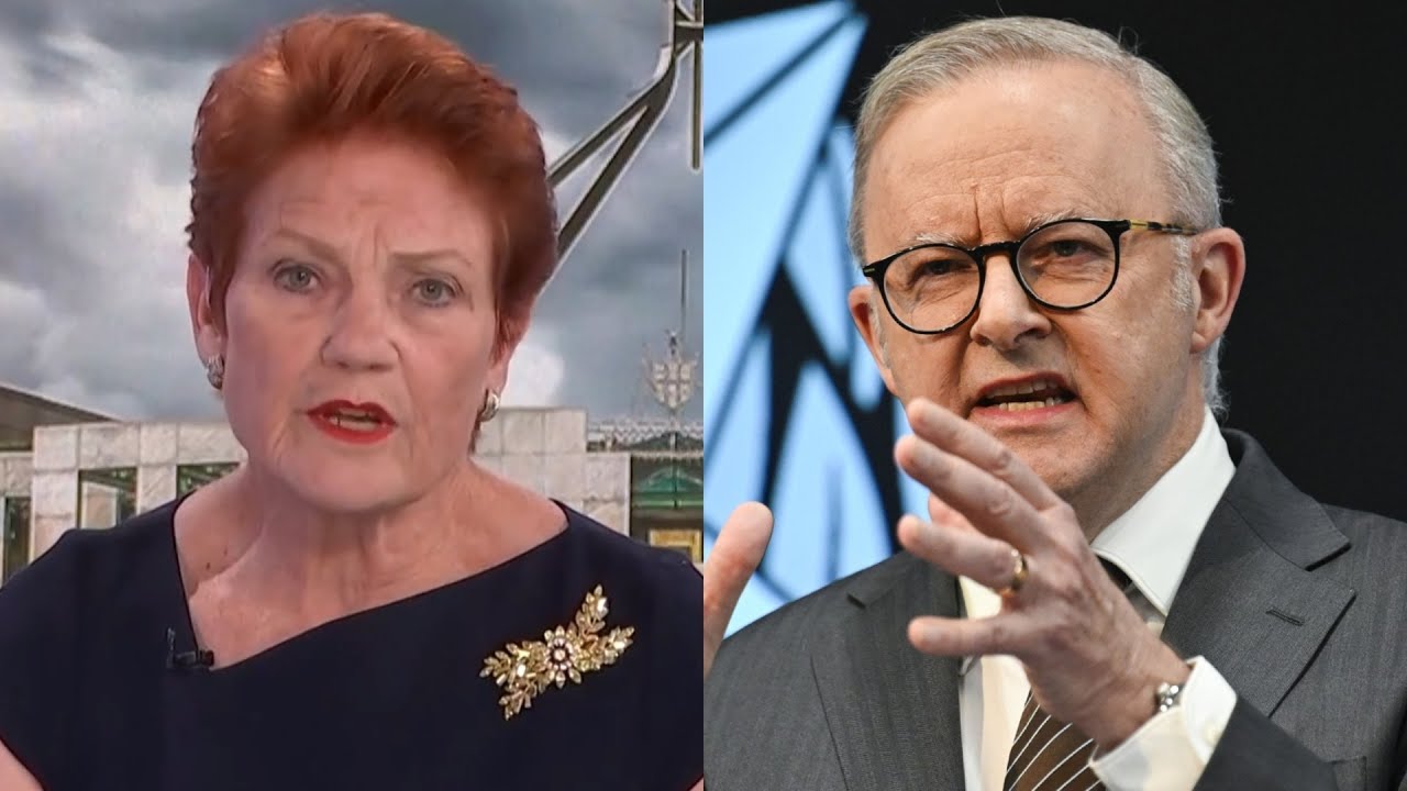 ‘Starting to feel the pinch’: Hanson claims Labor are ‘getting worried’ about One Nation