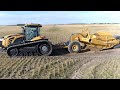 2021 Fall Ditching - Challenger MT875E &amp; Quick Drain Hydraulic Scraper