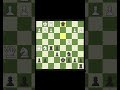 Natural moves. Brutal result. Checkmate. 👑♟️ #chess #checkmate