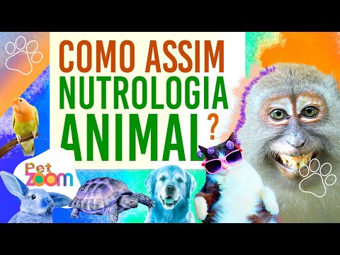 Sabe a importância da nutrologia? Cozinhe alimentação natural em casa, ou compre de uma empresa.