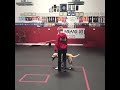 Client dogs rock!