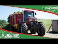 CASE 7140 MAGNUM - 12 Tractors of Christmas