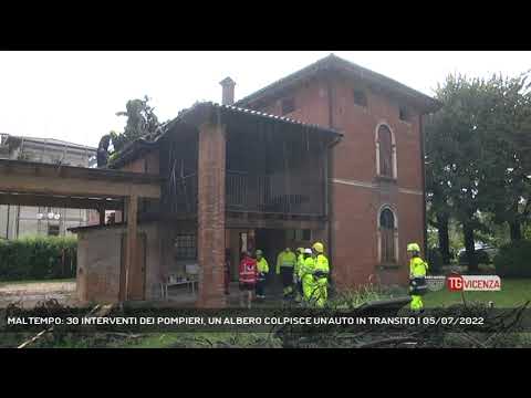 MALTEMPO: 30 INTERVENTI DEI POMPIERI, UN ALBERO COLPISCE UN'AUTO IN TRANSITO | 05/07/2022