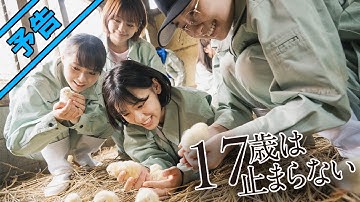 映画『17歳は止まらない』予告編