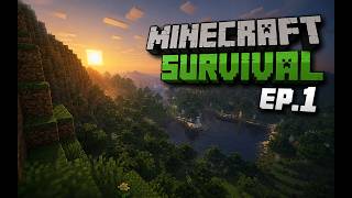 Tools, Village & First Night! | Minecraft Survival Episode 1