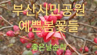 부산시민공원 참여의숲길 영상