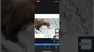 Creating a white frame for Instagram photos
