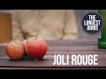 Joli Rouge | The Longest Johns Music Video (The Dreadnoughts Cover)