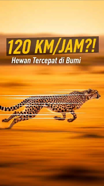 🐆 The Fastest Animal on Earth! Cheetahs Can Run 120 Km/Hour 😱 #uniquefacts #informative #shorts #...