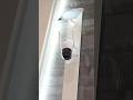 HUEVUE 4G LTE Security Camera. A Solar Powered Cellular Camera! #shorts #camera #solar