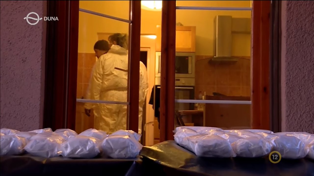 Kékfény - Droglabor (2020.02.10.)