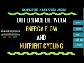 Energy Flow Versus Nutrient Cycling In Ecosystems