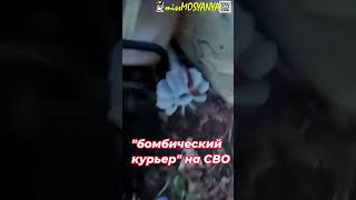 "бомбический курьер" на СВО  #война #россия #украина #войнанаукраине