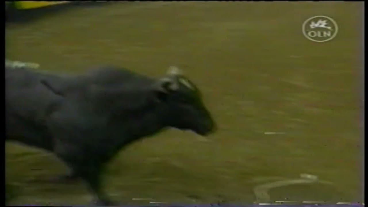 Skip Beeler's Lyin' Eyes - 03 PBR Reno