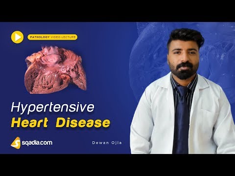 Hypertensive Heart Disease | Medical Pathology | Textbook Online Lectures | V-Learning