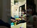 aquatic animals and domestic animals learn with Dwiti